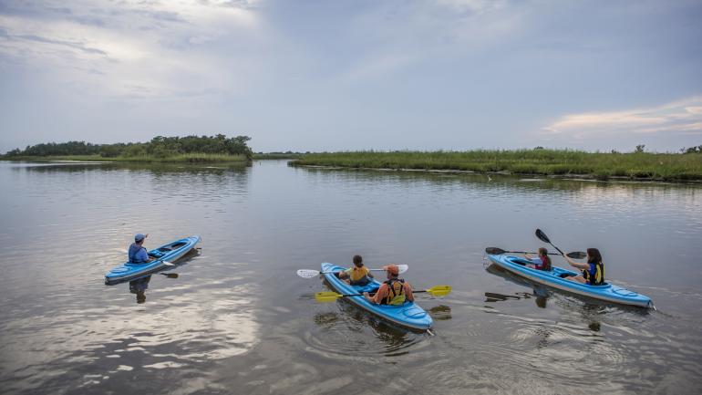 在阿拉巴马州的莫比尔河-滕索河三角洲划皮划艇的游人 在阿拉巴马州的莫比尔河-滕索河三角洲划皮划艇的游人