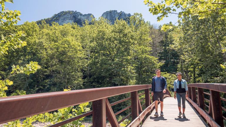 徒步旅行者在西弗吉尼亚州的云杉岭-塞内卡岩石国家休闲区游玩