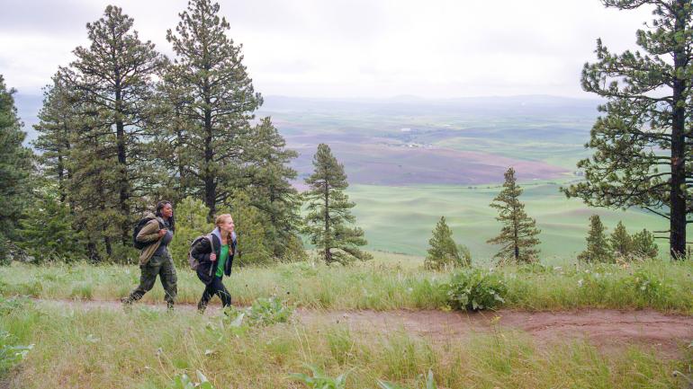 登上爱达荷州莫斯科附近的 Kamiak Butte 顶峰