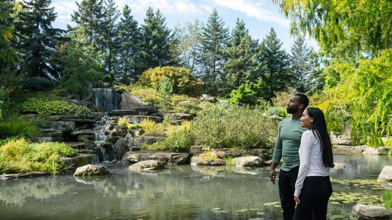 探索大急流城的弗雷德里克•梅耶尔花园及雕塑公园 探索大急流城的弗雷德里克•梅耶尔花园及雕塑公园