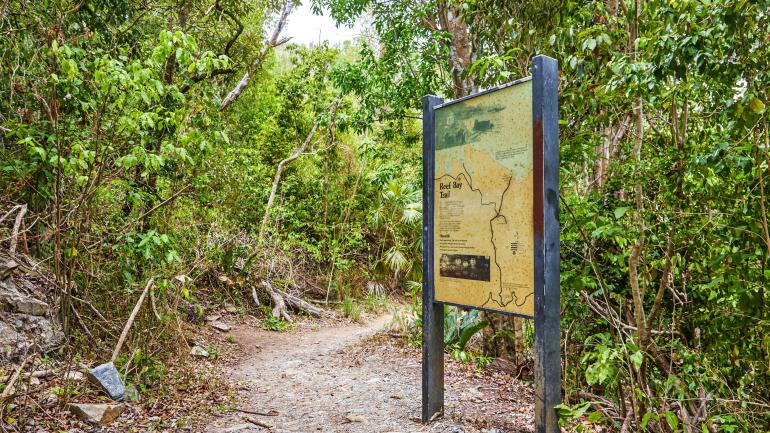 珊瑚礁湾小径沿途的一条偏僻小路
