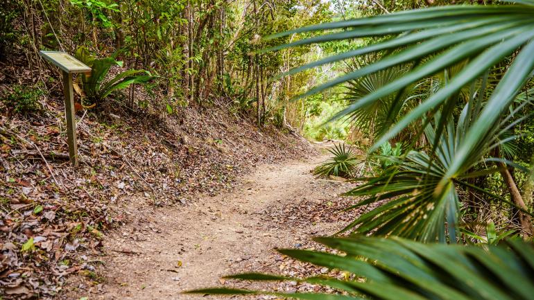 在圣约翰岛的许多徒步小径都能欣赏到岛上的独特美景