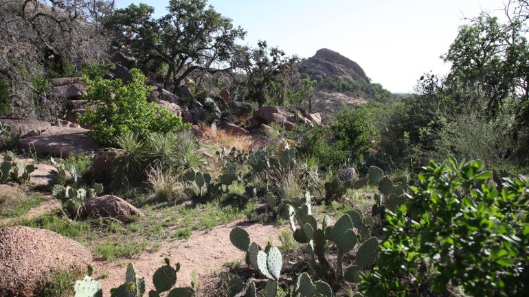 德克萨斯州希尔县着魔岩州立自然区独特的景观