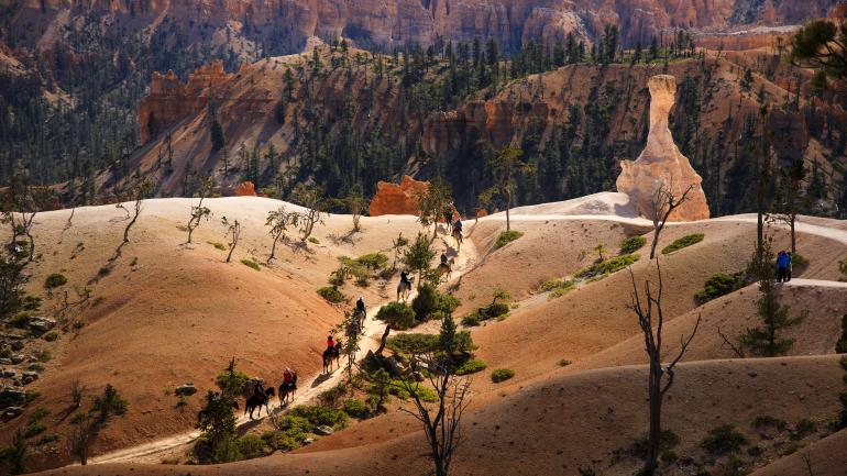 在犹他州布莱斯峡谷国家公园体验马背观光