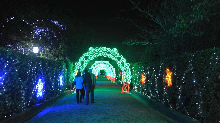 新奥尔良帕克城 Celebration in the Oaks 节日庆典期间璀璨的灯光