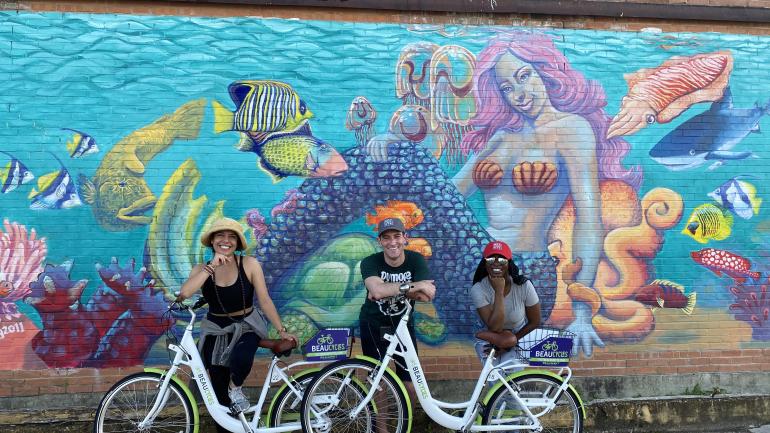 在德克萨斯州博蒙特骑行观赏壁画