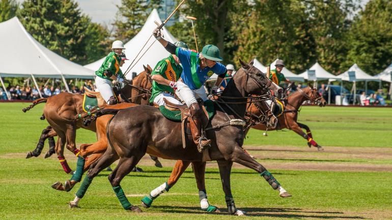 在 Oak Brook Polo Club 俱乐部享受一场激动人心的比赛