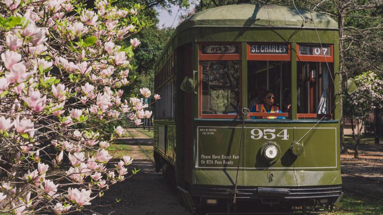 圣查尔斯大道有轨电车沿线春意盎然,花开满径 圣查尔斯大道有轨电车沿线春意盎然,花开满径