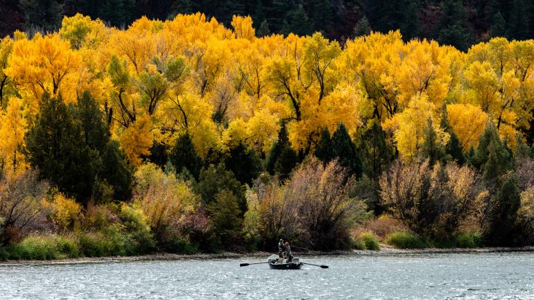 斯内克河南支流河岸的秋叶盛景炫彩夺目