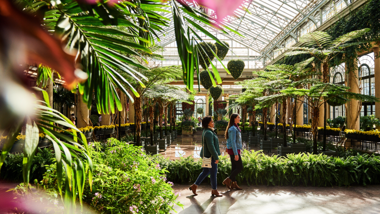 漫步在长木花园里令人印象深刻的温室区