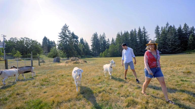 在参观博林的 Dolan Creek 农场时抚摸山羊 在参观博林的 Dolan Creek 农场时抚摸山羊