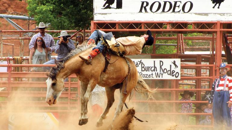 哈利特牛仔竞技秀是该地区历史最悠久的牛仔竞技秀之一 哈利特牛仔竞技秀是该地区历史最悠久的牛仔竞技秀之一