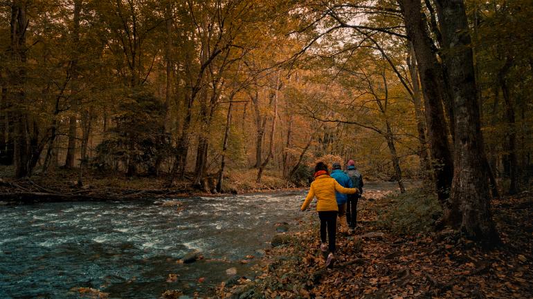 GoUSA TV 的“旷野和开拓者”系列片剧照