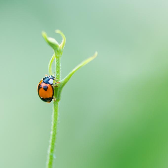 特拉华州实闻趣事