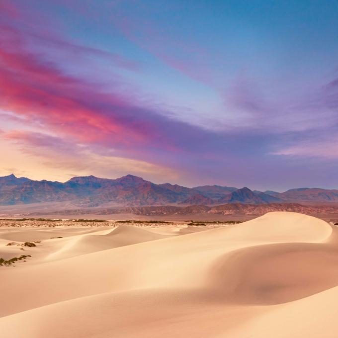 加州实闻趣事 加州实闻趣事