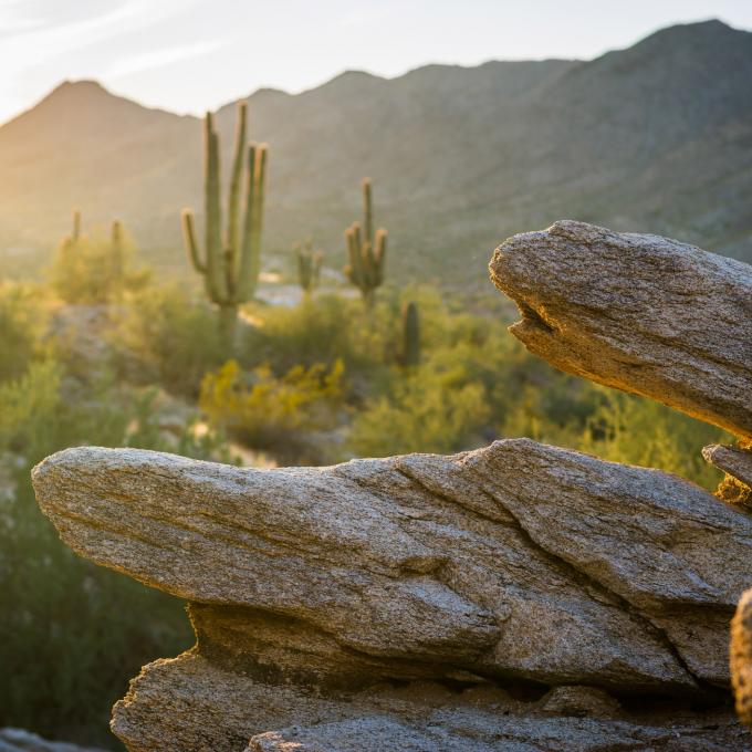 凤凰城的南山公园（South Mountain Park）是美国最大的城市公园。