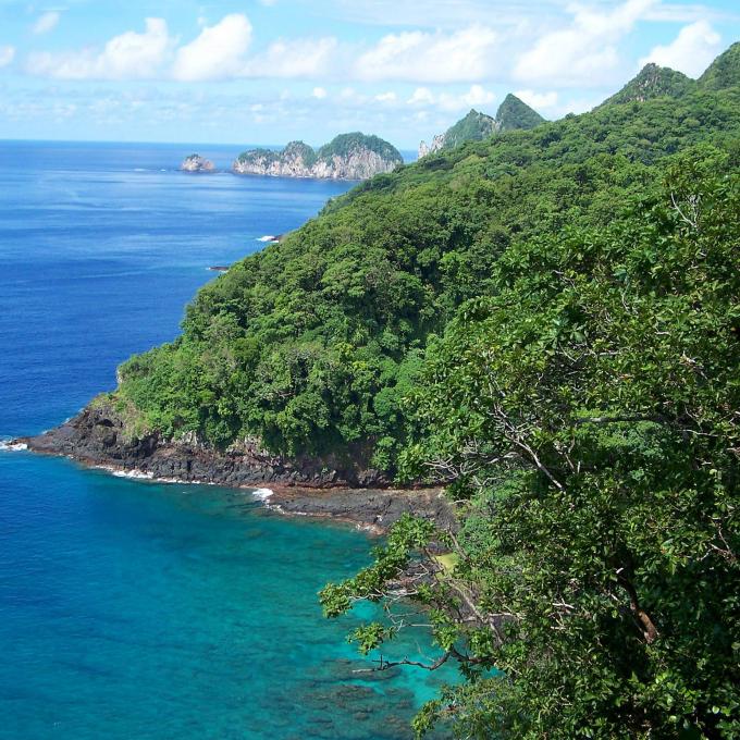 美属萨摩亚国家公园中的 Pola Ridge 森林