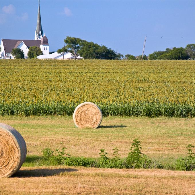 德克萨斯州农场的干草堆 德克萨斯州农场的干草堆