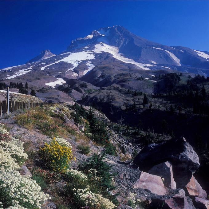 胡德山山峰有 11 处冰川,山峰海拔 3,426 米,是俄勒冈州最高峰。 胡德山山峰有 11 处冰川,山峰海拔 3,426 米,是俄勒冈州最高峰。