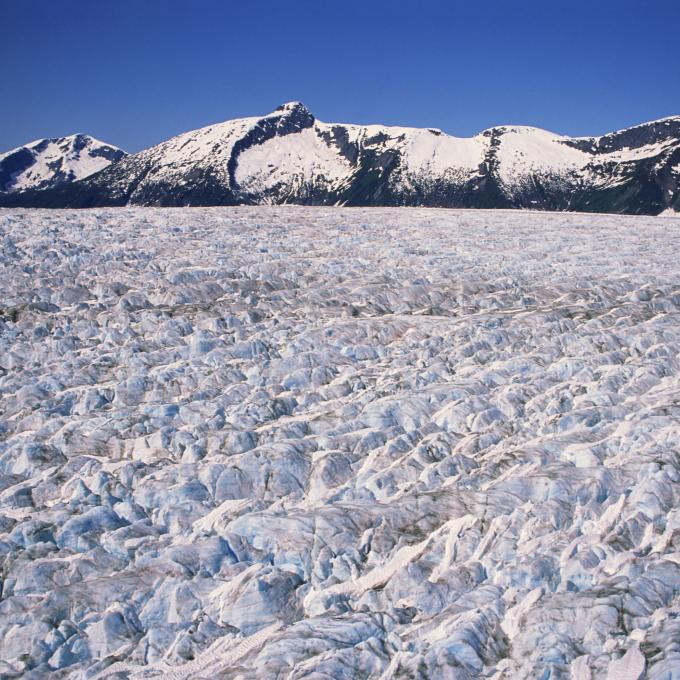 世界上最厚的塔库冰川（Taku Glacier）靠近阿拉斯加州朱诺