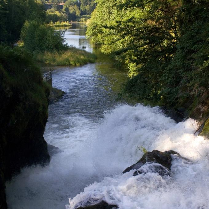 华盛顿州奥林匹亚的溪水潺潺流淌