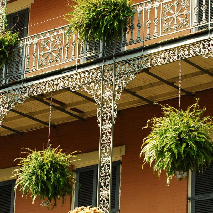 法国区的垂吊植物和经典细节 法国区的垂吊植物和经典细节