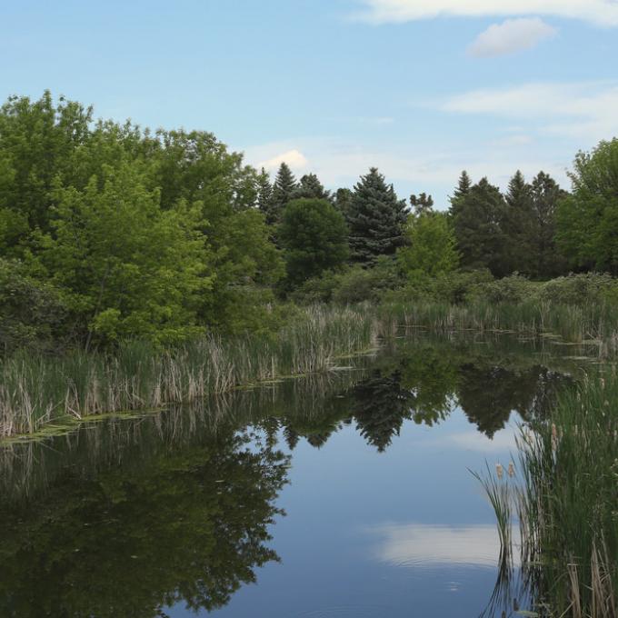 1870 年，大福克斯的创建者 Alexander Griggs 的轮船被冰封在红河之中，使他不得不在此河岸露营过冬，因此他创建了这座城市。