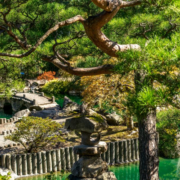 华盛顿州海莱西塔科植物园景观 华盛顿州海莱西塔科植物园景观