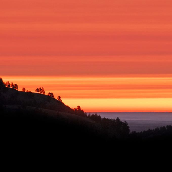 夕阳下名副其实的黑山常绿森林
