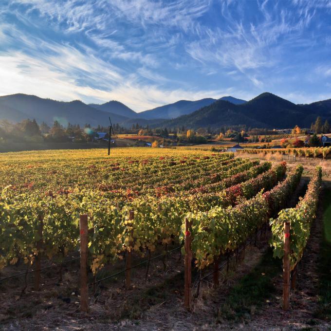 周围环绕秀丽山景的俄勒冈南部葡萄园