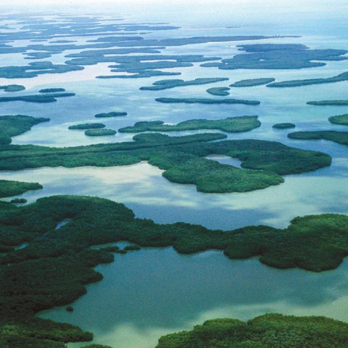 佛罗里达州那不勒斯附近的大沼泽地鸟瞰图