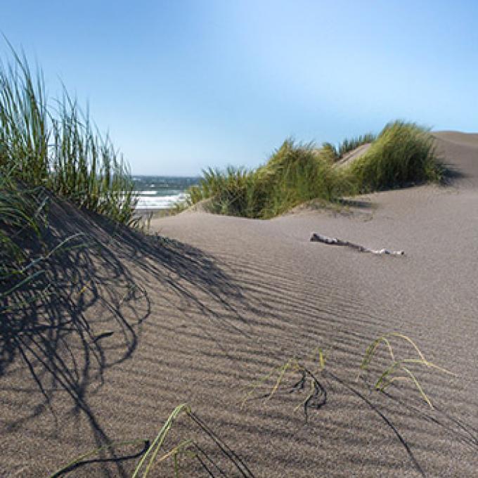 站在俄勒冈沙丘国家休闲区的沙丘上欣赏美景