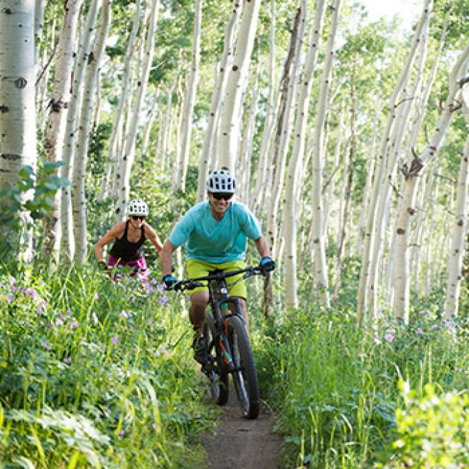 Mountain biking through aspen trees in Park City, Utah Mountain biking through aspen trees in Park City, Utah