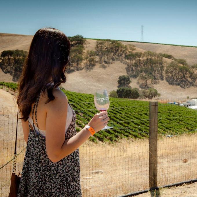 在利弗莫尔谷（Livermore Valley）边啜饮葡萄酒边欣赏美景
