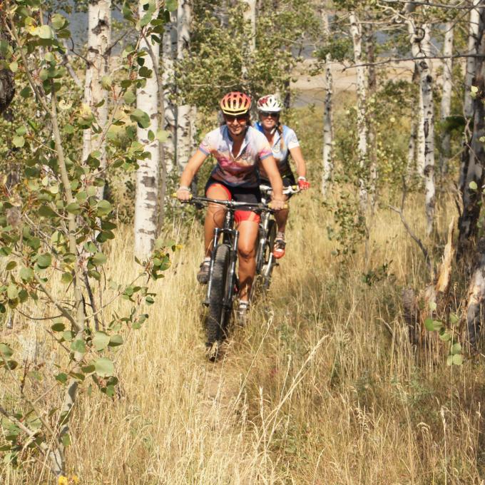 在蒙大拿州西黄石周边的一座国家森林中骑山地自行车