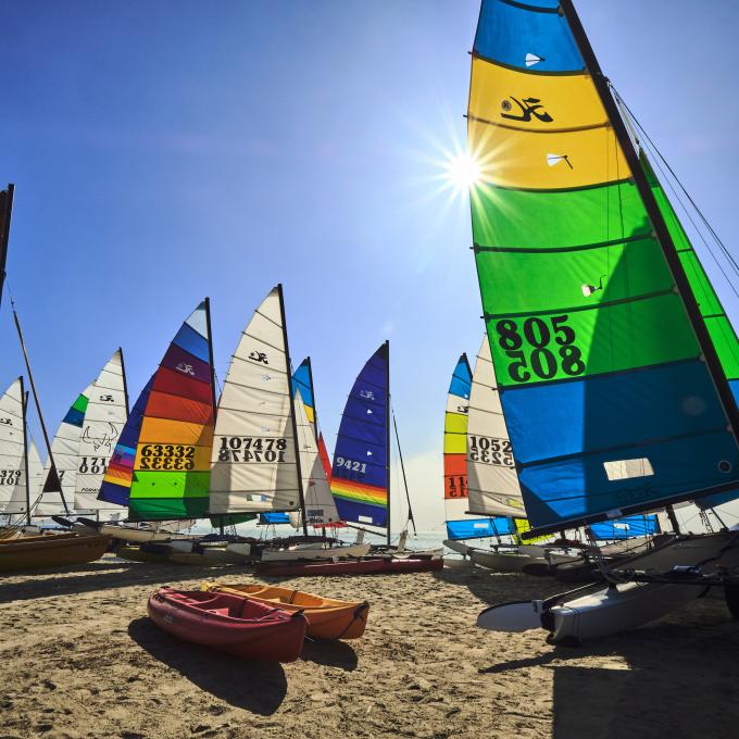 加利福尼亚州达纳点的 Hobie Cat 双体船