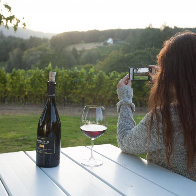 俄勒冈州福里斯特格罗夫镇的戴维山葡萄园和酒庄