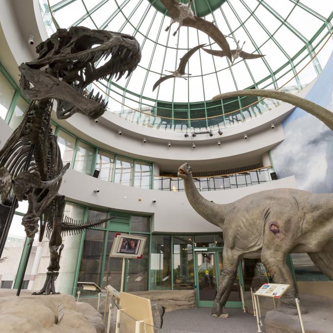 罗利北卡罗来纳州自然科学博物馆的内景 罗利北卡罗来纳州自然科学博物馆的内景