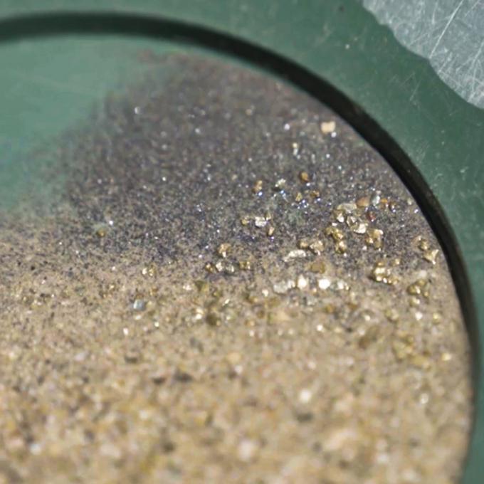 在加利福尼亚州大熊湖淘金