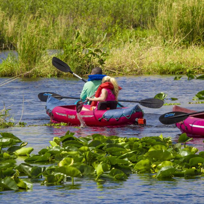 在佛罗里达州墨尔本的印第安河泻湖上划皮艇