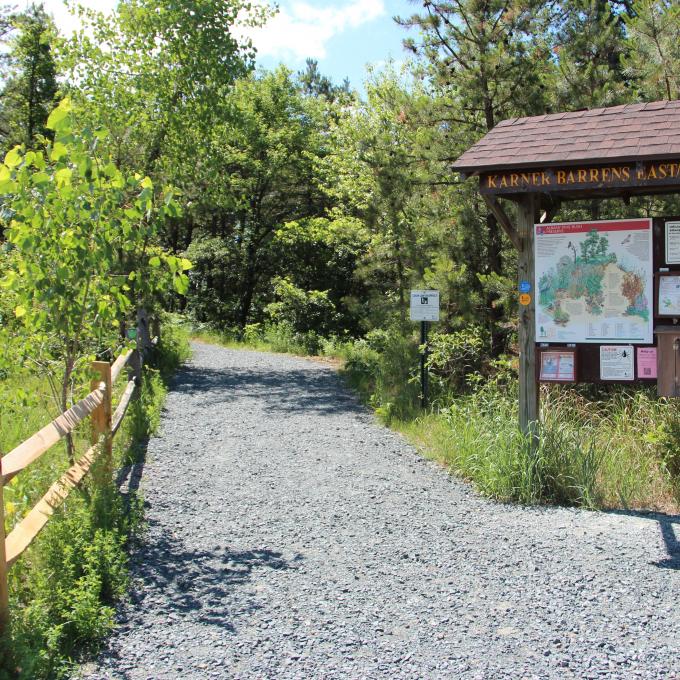 穿过纽约州奥尔巴尼松林保护区的一条小径 穿过纽约州奥尔巴尼松林保护区的一条小径