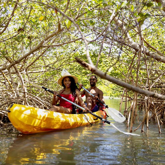 人们在佛罗里达州夏洛特港的水道中享受皮划艇的乐趣