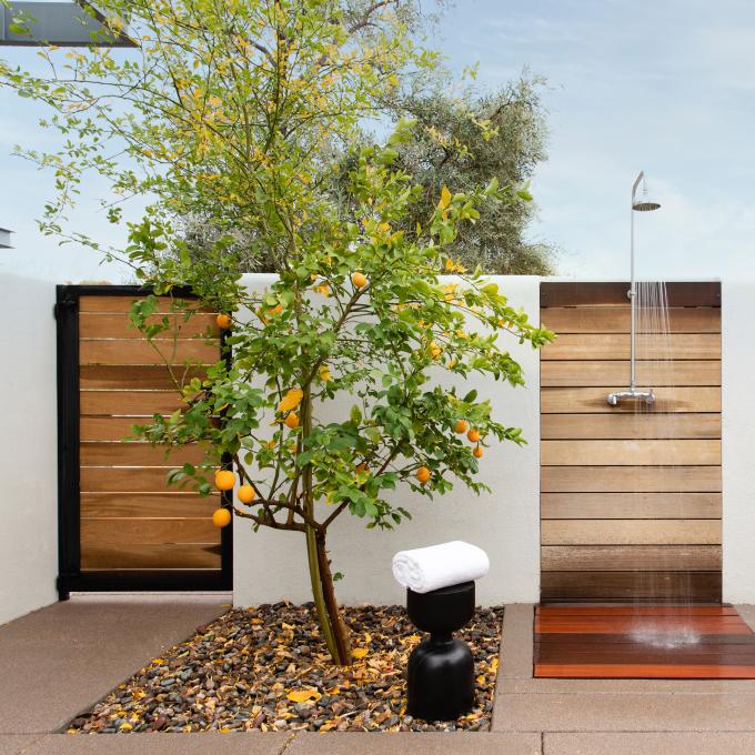 亚利桑那州斯科茨代尔安达仕度假村及联排小屋户外淋浴旁的橘子树 亚利桑那州斯科茨代尔安达仕度假村及联排小屋户外淋浴旁的橘子树