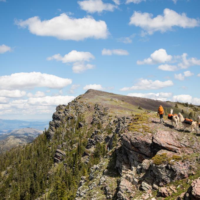 蒙大拿州海伦娜大陆分水岭路径上风景优美的山峰