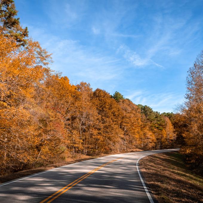 密西西比州图珀洛附近纳切兹小道公路沿途的秋叶