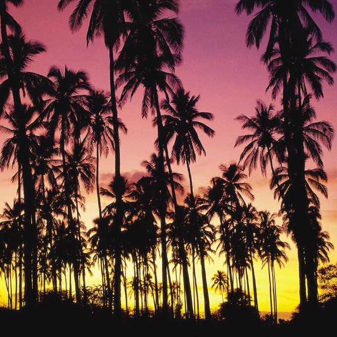 Hawaiʻi's Royal Coconut Coast located in Kauaʻi Hawaiʻi's Royal Coconut Coast located in Kauaʻi