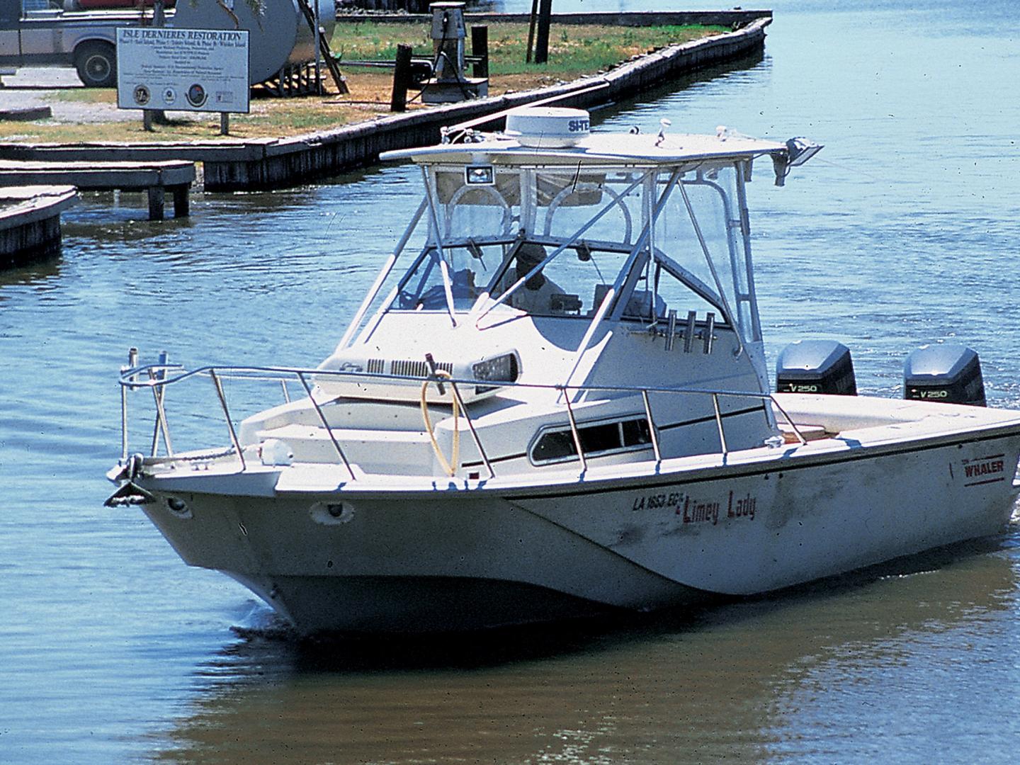 Ala Bayou Boat Parade 阿拉河口船只游行中的参与者