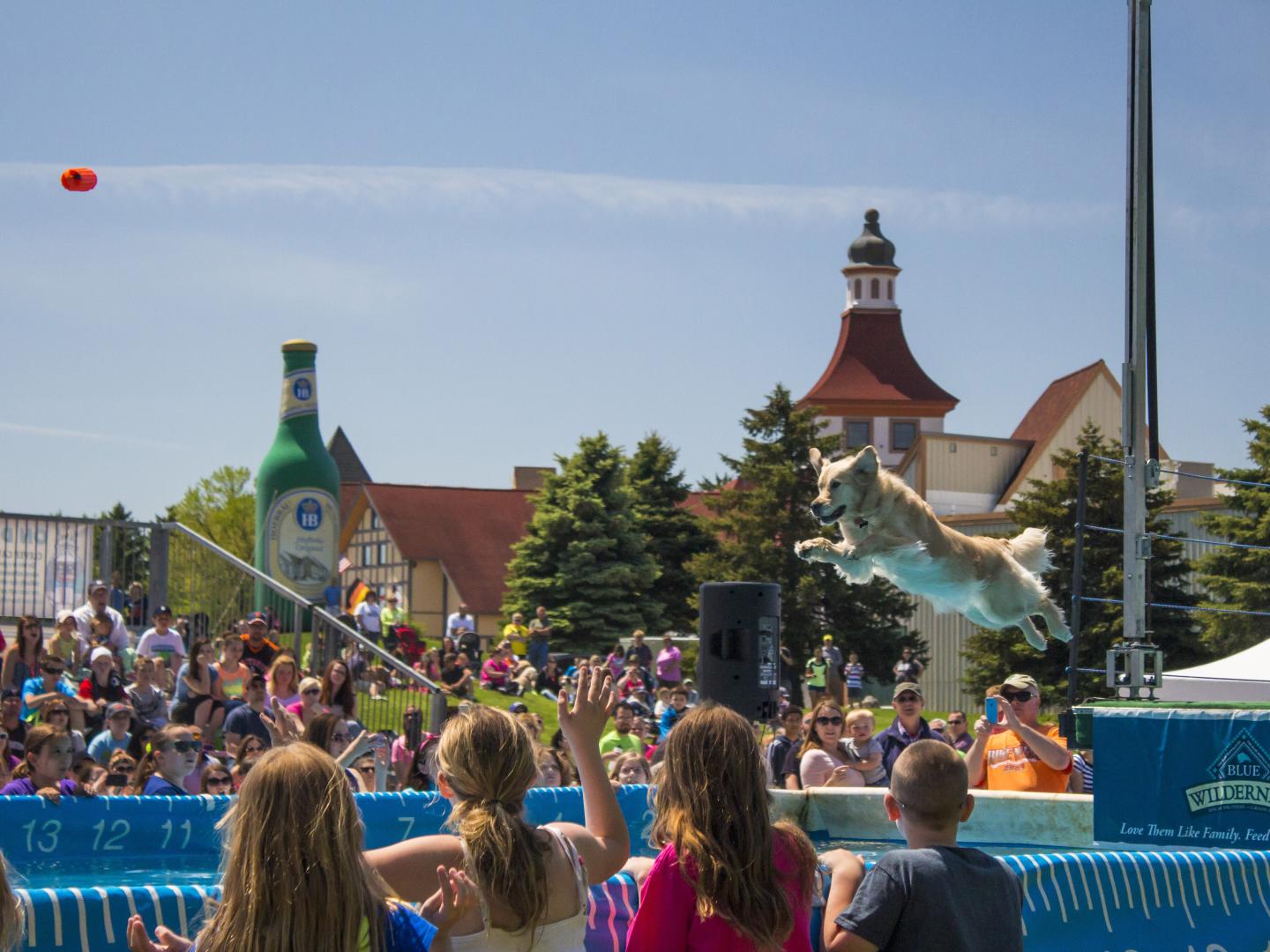 在 DogBowl 上腾跃而起