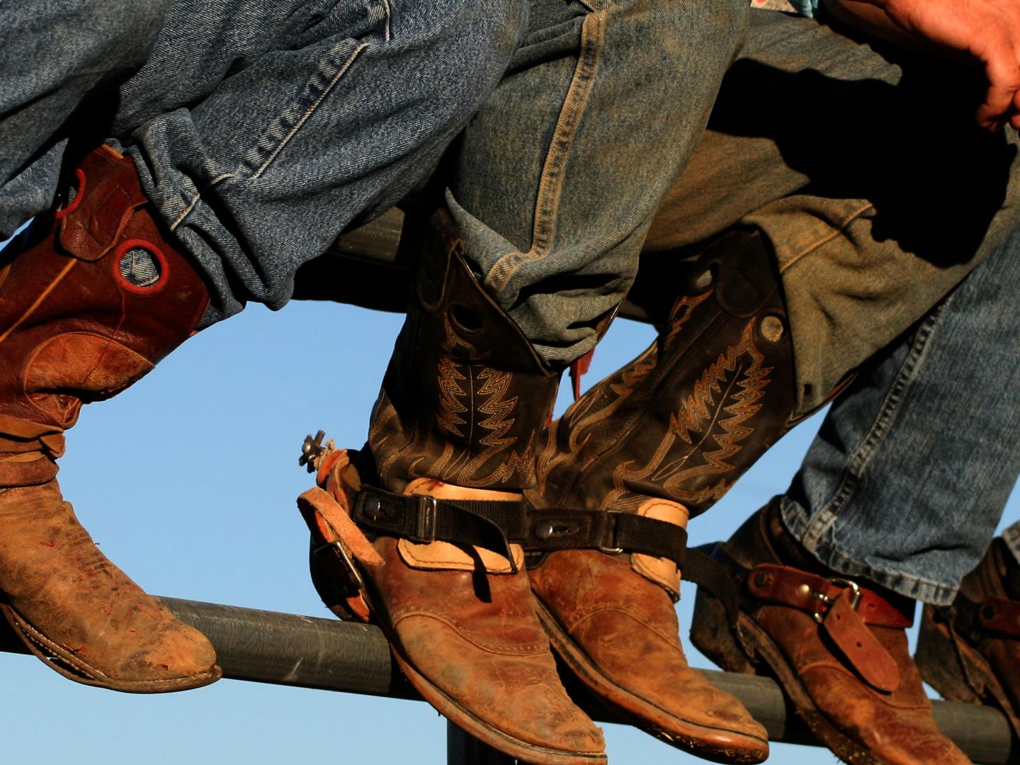 西部爱达荷州博览会上展出的牛仔靴