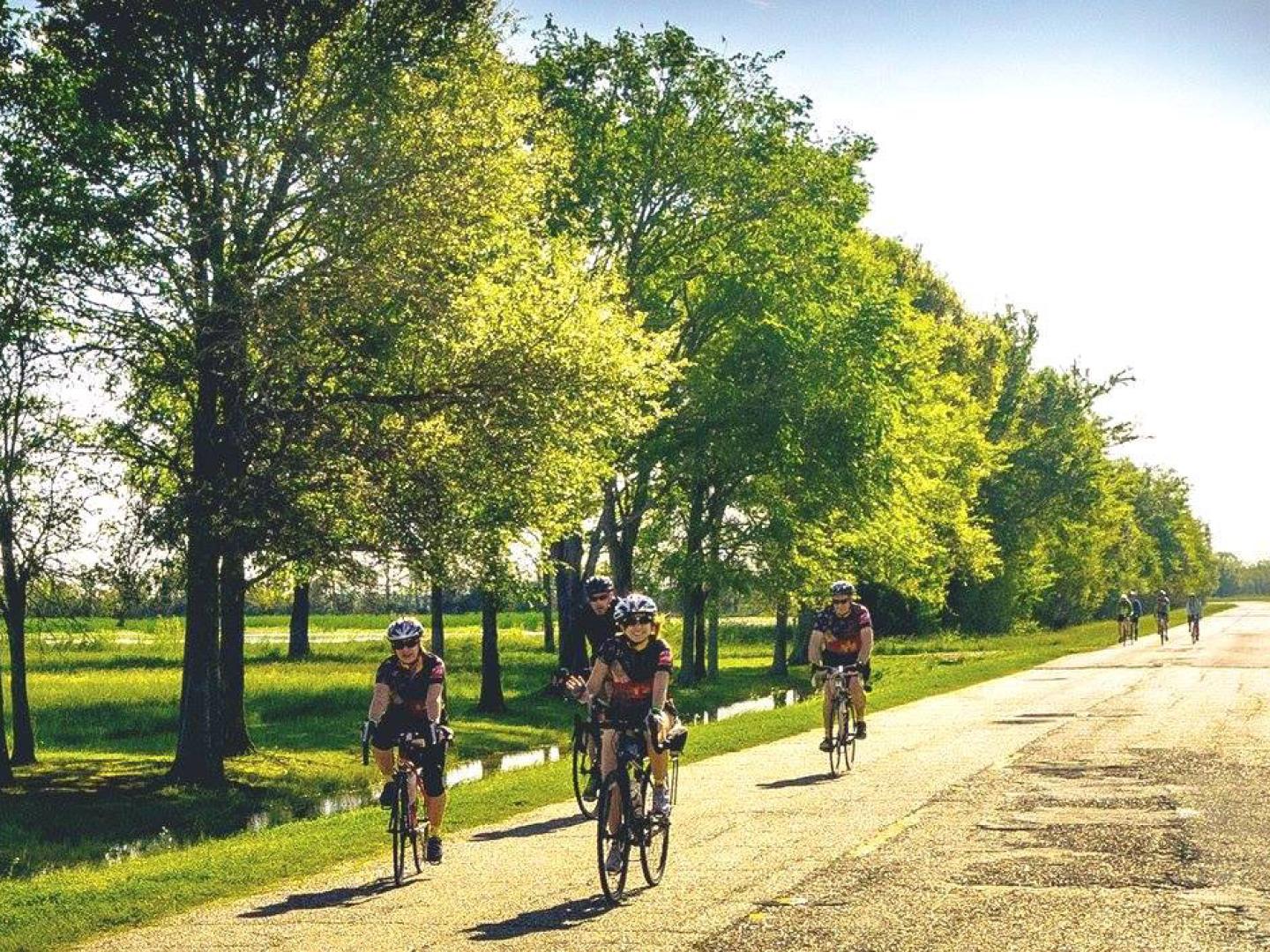 Cycle Zydeco 骑行节绿荫小路上的骑行者